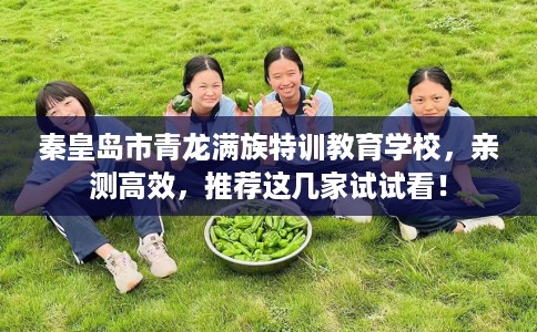 秦皇岛市青龙满族特训教育学校,亲测高效,推荐这几家试试看! 秦皇岛市青龙满族特训教育学校,亲测高效,推荐这几家试试看!