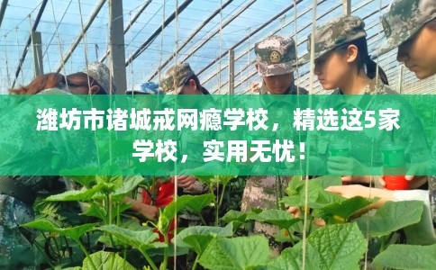 潍坊市诸城戒网瘾学校,精选这5家学校,实用无忧! 潍坊市诸城戒网瘾学校,精选这5家学校,实用无忧!