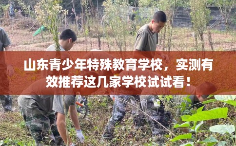 山东青少年特殊教育学校,实测有效推荐这几家学校试试看! 山东青少年特殊教育学校,实测有效推荐这几家学校试试看!