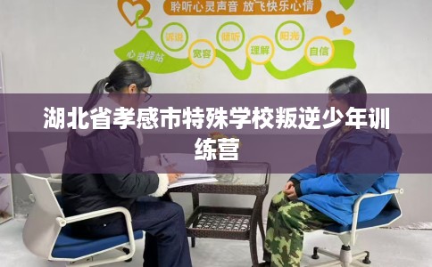 湖北省孝感市特殊学校叛逆少年训练营 湖北省孝感市特殊学校叛逆少年训练营