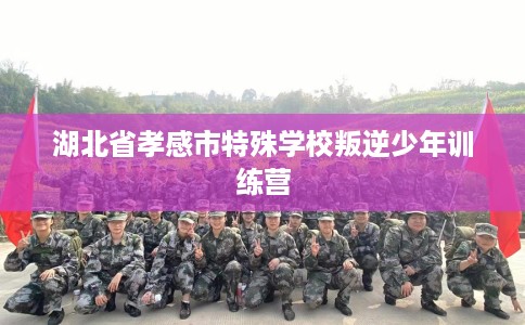 湖北省孝感市特殊学校叛逆少年训练营 湖北省孝感市特殊学校叛逆少年训练营