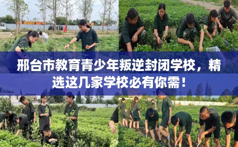邢台市教育青少年叛逆封闭学校,精选这几家学校必有你需! 邢台市教育青少年叛逆封闭学校,精选这几家学校必有你需!