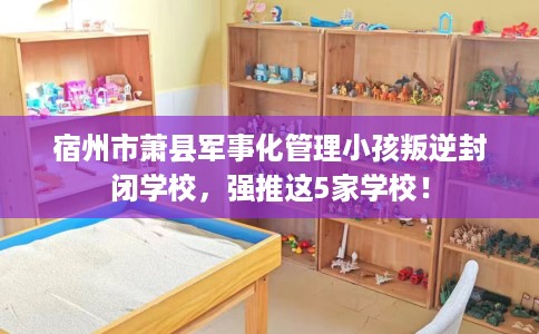 宿州市萧县军事化管理小孩叛逆封闭学校,强推这5家学校! 宿州市萧县军事化管理小孩叛逆封闭学校,强推这5家学校!