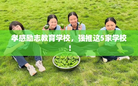 孝感励志教育学校,强推这5家学校! 孝感励志教育学校,强推这5家学校!