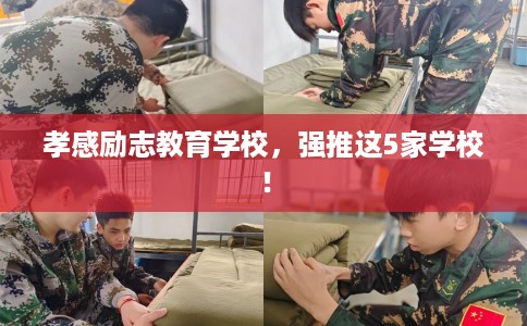 孝感励志教育学校,强推这5家学校! 孝感励志教育学校,强推这5家学校!