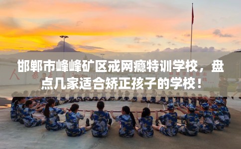 邯郸市峰峰矿区戒网瘾特训学校，盘点几家适合矫正孩子的学校！