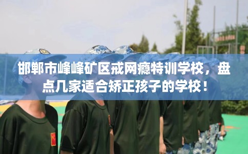 邯郸市峰峰矿区戒网瘾特训学校，盘点几家适合矫正孩子的学校！