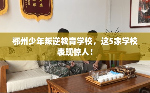 鄂州少年叛逆教育学校,这5家学校表现惊人! 鄂州少年叛逆教育学校,这5家学校表现惊人!