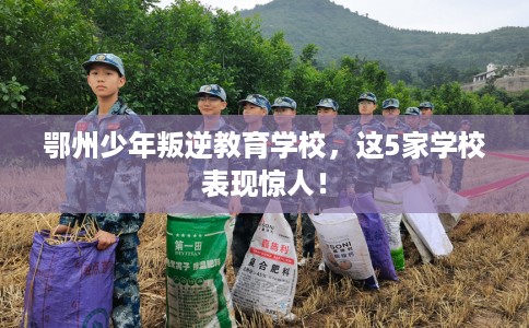 鄂州少年叛逆教育学校,这5家学校表现惊人! 鄂州少年叛逆教育学校,这5家学校表现惊人!