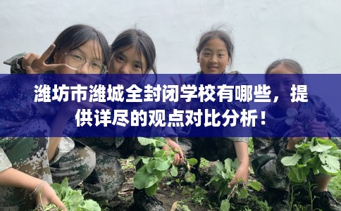 潍坊市潍城全封闭学校有哪些,提供详尽的观点对比分析! 潍坊市潍城全封闭学校有哪些,提供详尽的观点对比分析!