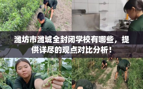 潍坊市潍城全封闭学校有哪些,提供详尽的观点对比分析! 潍坊市潍城全封闭学校有哪些,提供详尽的观点对比分析!