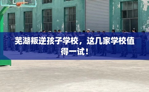 芜湖叛逆孩子学校,这几家学校值得一试! 芜湖叛逆孩子学校,这几家学校值得一试!