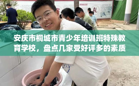 安庆市桐城市青少年培训班特殊教育学校,盘点几家受好评多的素质学校 安庆市桐城市青少年培训班特殊教育学校,盘点几家受好评多的素质学校