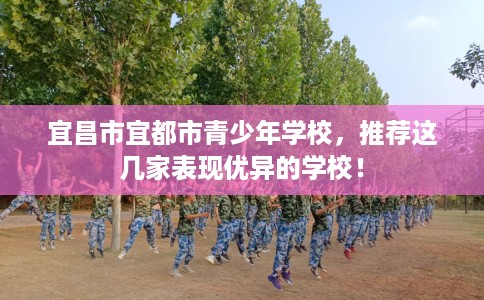 宜昌市宜都市青少年学校，推荐这几家表现优异的学校！