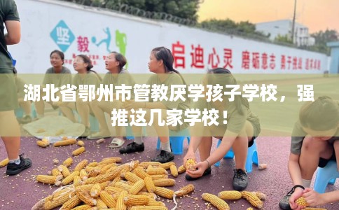 湖北省鄂州市管教厌学孩子学校，强推这几家学校！