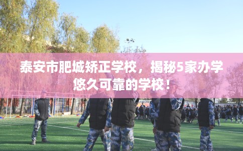 泰安市肥城矫正学校，揭秘5家办学悠久可靠的学校！
