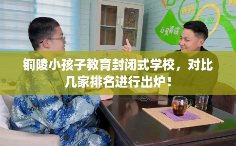 铜陵小孩子教育封闭式学校，对比几家排名进行出炉！