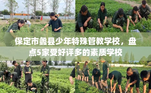 保定市蠡县少年特殊管教学校,盘点5家受好评多的素质学校 保定市蠡县少年特殊管教学校,盘点5家受好评多的素质学校