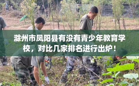 滁州市凤阳县有没有青少年教育学校,对比几家排名进行出炉! 滁州市凤阳县有没有青少年教育学校,对比几家排名进行出炉!