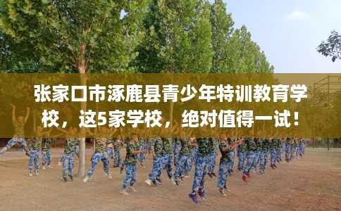 张家口市涿鹿县青少年特训教育学校,这5家学校,绝对值得一试! 张家口市涿鹿县青少年特训教育学校,这5家学校,绝对值得一试!