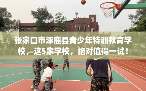 张家口市涿鹿县青少年特训教育学校,这5家学校,绝对值得一试! 张家口市涿鹿县青少年特训教育学校,这5家学校,绝对值得一试!
