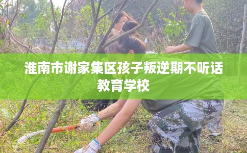 淮南市谢家集区孩子叛逆期不听话教育学校