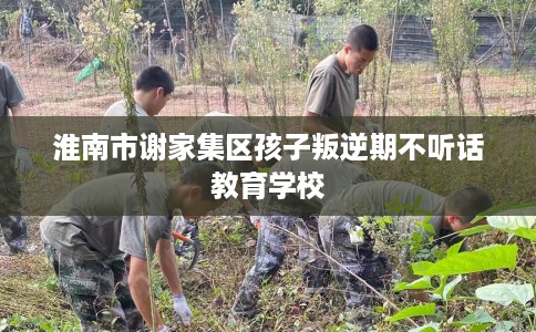 淮南市谢家集区孩子叛逆期不听话教育学校