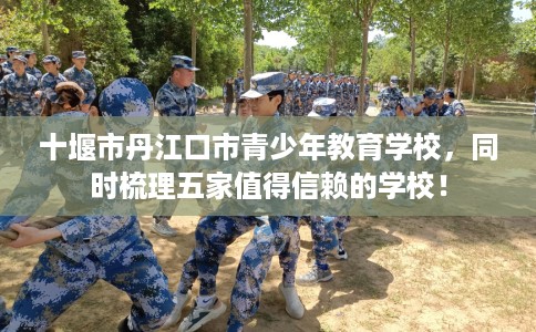 十堰市丹江口市青少年教育学校，同时梳理五家值得信赖的学校！