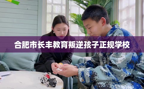 合肥市长丰教育叛逆孩子正规学校 合肥市长丰教育叛逆孩子正规学校