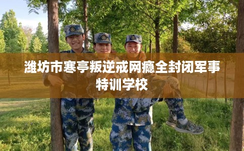 潍坊市寒亭叛逆戒网瘾全封闭军事特训学校