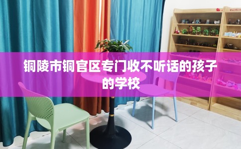 铜陵市铜官区专门收不听话的孩子的学校 铜陵市铜官区专门收不听话的孩子的学校