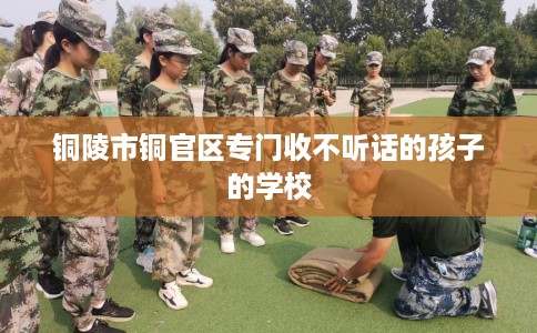 铜陵市铜官区专门收不听话的孩子的学校 铜陵市铜官区专门收不听话的孩子的学校