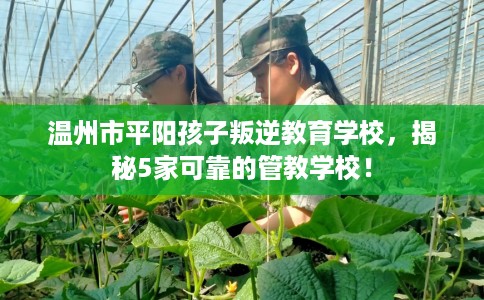 温州市平阳孩子叛逆教育学校,揭秘5家可靠的管教学校! 温州市平阳孩子叛逆教育学校,揭秘5家可靠的管教学校!