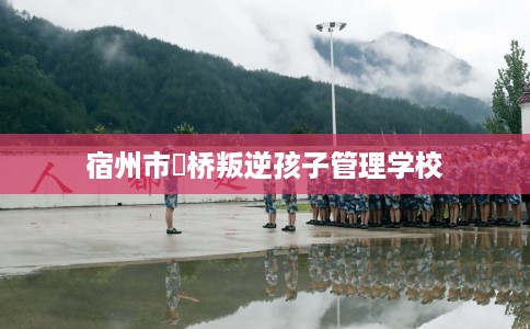 宿州市埇桥叛逆孩子管理学校 宿州市埇桥叛逆孩子管理学校