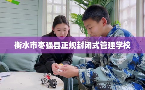 衡水市枣强县正规封闭式管理学校 衡水市枣强县正规封闭式管理学校
