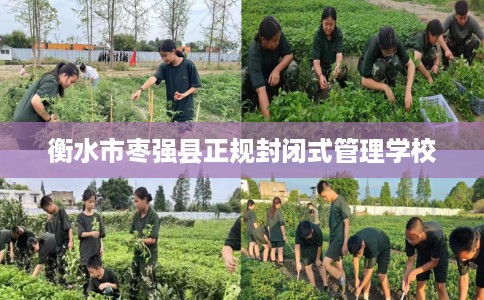 衡水市枣强县正规封闭式管理学校 衡水市枣强县正规封闭式管理学校