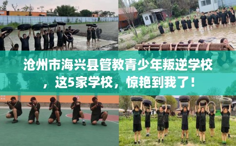 沧州市海兴县管教青少年叛逆学校,这5家学校,惊艳到我了! 沧州市海兴县管教青少年叛逆学校,这5家学校,惊艳到我了!