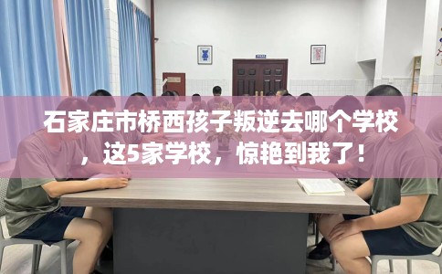 石家庄市桥西孩子叛逆去哪个学校,这5家学校,惊艳到我了! 石家庄市桥西孩子叛逆去哪个学校,这5家学校,惊艳到我了!