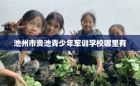 池州市贵池青少年军训学校哪里有 池州市贵池青少年军训学校哪里有
