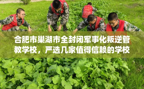 合肥市巢湖市全封闭军事化叛逆管教学校,严选几家值得信赖的学校! 合肥市巢湖市全封闭军事化叛逆管教学校,严选几家值得信赖的学校!