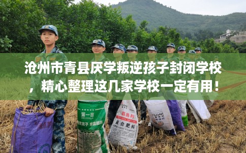 沧州市青县厌学叛逆孩子封闭学校,精心整理这几家学校一定有用! 沧州市青县厌学叛逆孩子封闭学校,精心整理这几家学校一定有用!