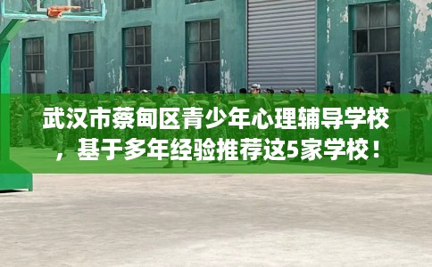 武汉市蔡甸区青少年心理辅导学校,基于多年经验推荐这5家学校! 武汉市蔡甸区青少年心理辅导学校,基于多年经验推荐这5家学校!