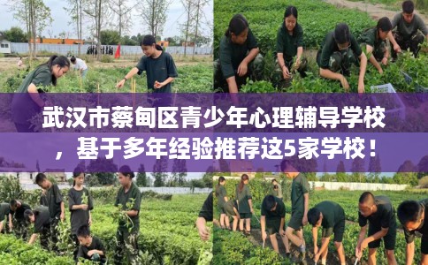 武汉市蔡甸区青少年心理辅导学校,基于多年经验推荐这5家学校! 武汉市蔡甸区青少年心理辅导学校,基于多年经验推荐这5家学校!