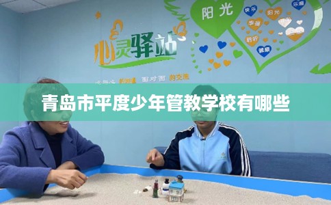 青岛市平度少年管教学校有哪些