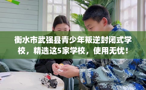 衡水市武强县青少年叛逆封闭式学校,精选这5家学校,使用无忧! 衡水市武强县青少年叛逆封闭式学校,精选这5家学校,使用无忧!