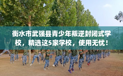 衡水市武强县青少年叛逆封闭式学校,精选这5家学校,使用无忧! 衡水市武强县青少年叛逆封闭式学校,精选这5家学校,使用无忧!