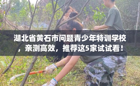 湖北省黄石市问题青少年特训学校,亲测高效,推荐这5家试试看! 湖北省黄石市问题青少年特训学校,亲测高效,推荐这5家试试看!