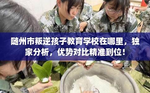 随州市叛逆孩子教育学校在哪里,独家分析,优势对比精准到位! 随州市叛逆孩子教育学校在哪里,独家分析,优势对比精准到位!