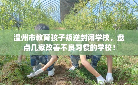 温州市教育孩子叛逆封闭学校,盘点几家改善不良习惯的学校! 温州市教育孩子叛逆封闭学校,盘点几家改善不良习惯的学校!