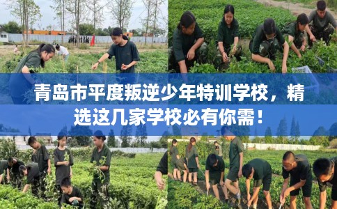 青岛市平度叛逆少年特训学校,精选这几家学校必有你需! 青岛市平度叛逆少年特训学校,精选这几家学校必有你需!